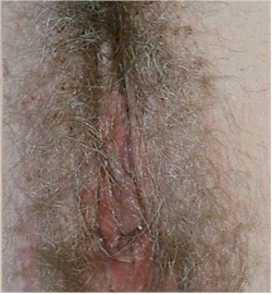 ����������ʭ�ǵû�