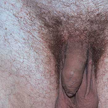 ����������ʭ�ǵû�